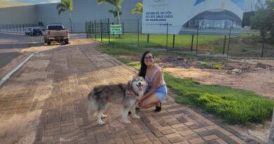 Shopping de Araguaína permitirá entrada de animais de estimação; inauguração será em 18/9