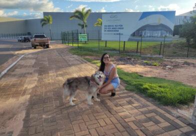 Shopping de Araguaína permitirá entrada de animais de estimação; inauguração será em 18/9